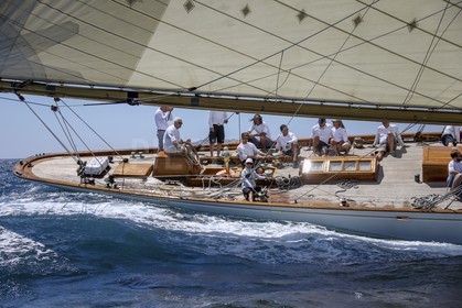 A29X9095.jpg