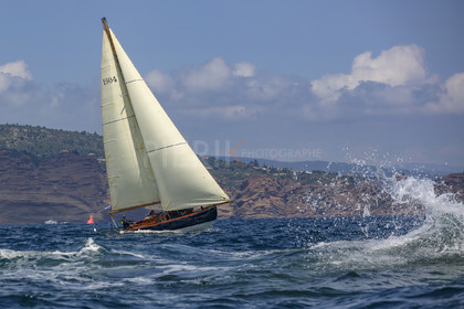 O60A6215.jpg