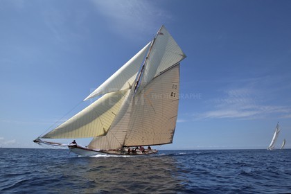 BL6A4976.jpg