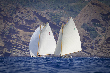 _DSC7479.jpg