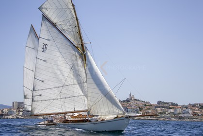 A29X2413.jpg