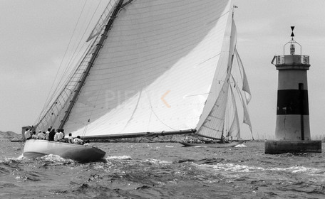 PIJ_0451.jpg