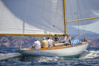 A29X8875.jpg