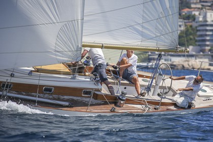 A29X9940.jpg