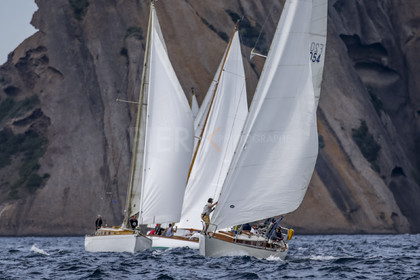 A29X9421.jpg