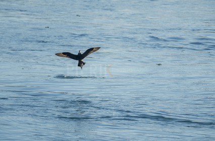 A29X4763.jpg