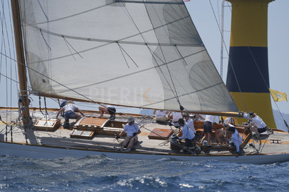 VVP_2023-08419.jpg