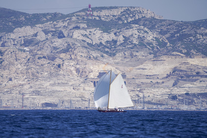 VVP_2023-7950.jpg