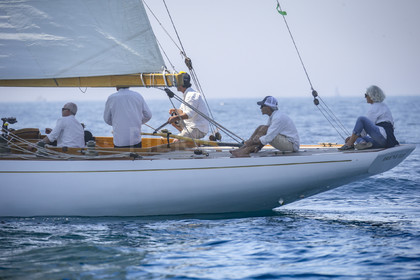 A29X7168.jpg