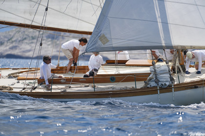 VVP_2023-07613.jpg