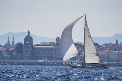 VVP_2023-08237.jpg
