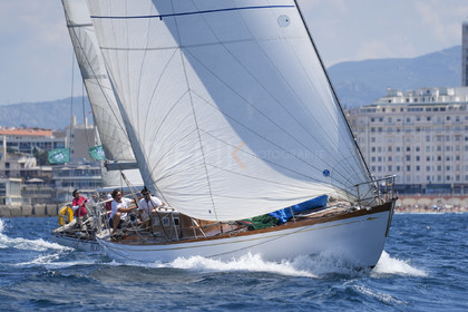 VVP_2023-08473.jpg