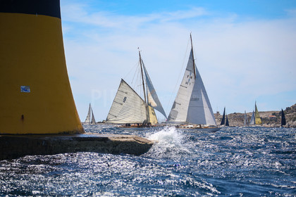 A29X4577.jpg