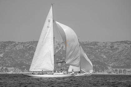 _DSC7687.jpg
