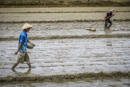 Hoi An-11.jpg