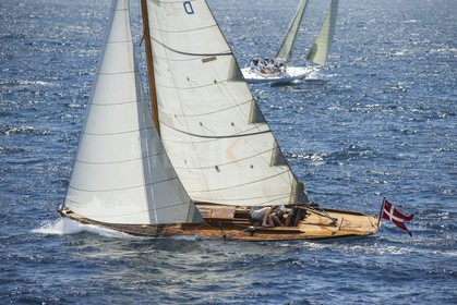 A29X1442.jpg