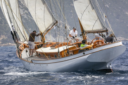 O60A2365.jpg