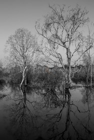 07122013-BL6A0790.jpg