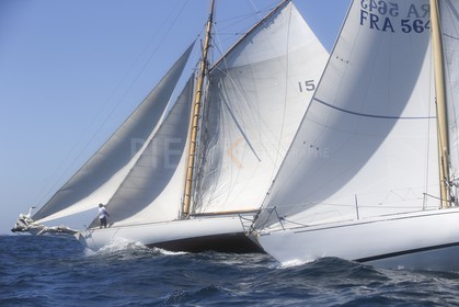 A29X6539.jpg