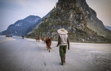 Tam Coc-68.jpg