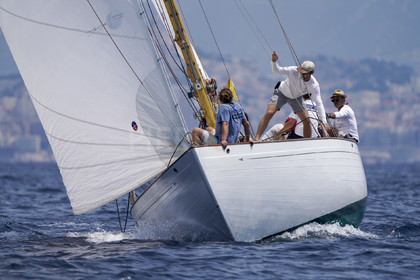 VVP_2023-7677.jpg