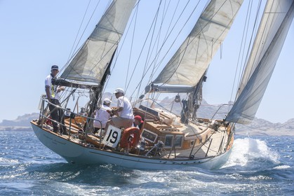A29X6653.jpg