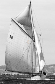 PIJ_1354.jpg