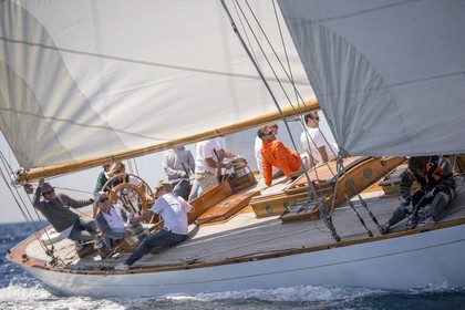 A29X6311.jpg