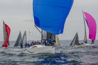 A29X6241.jpg