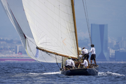 VVP_2023-7532.jpg