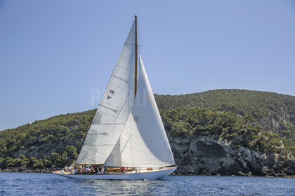 O60A8409.jpg