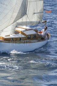 A29X1438.jpg