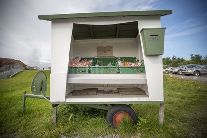 A29X3907.jpg