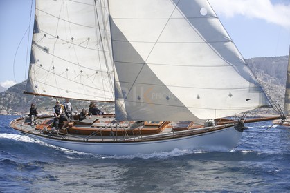A29X6488.jpg