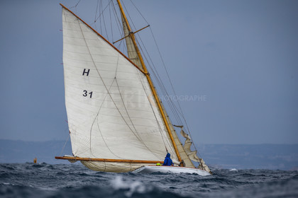 A29X7921.jpg