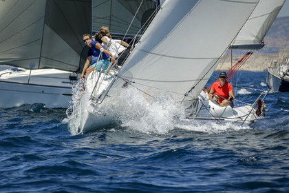 _29X0096.jpg