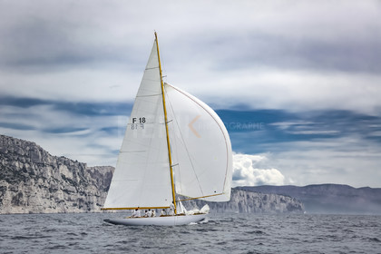 O60A3135.jpg