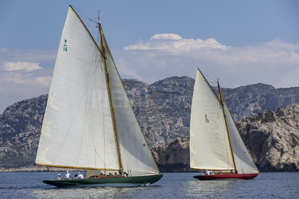 A29X2513.jpg