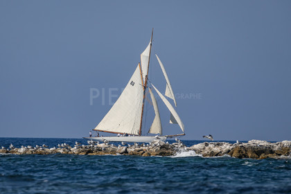 A29X1537.jpg