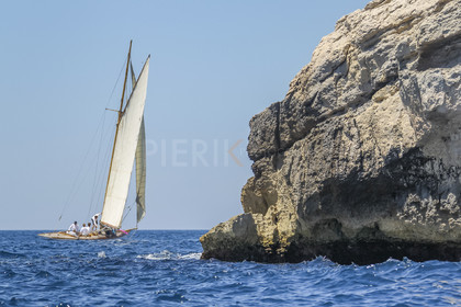 AZ0T9855 (1).jpg