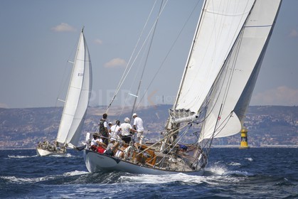 A29X9082.jpg