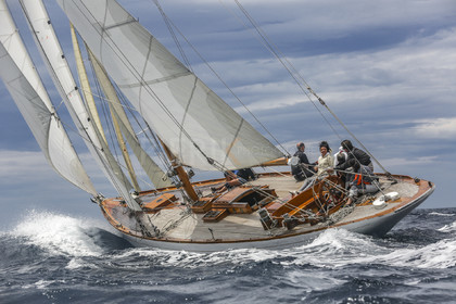 O60A1079.jpg