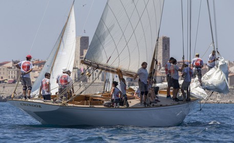 A29X7572.jpg