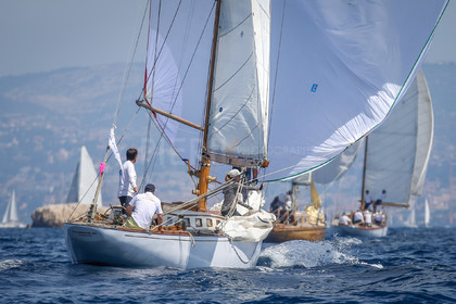 A29X4888.jpg