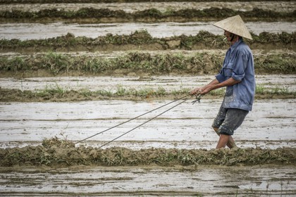 Hoi An-13.jpg