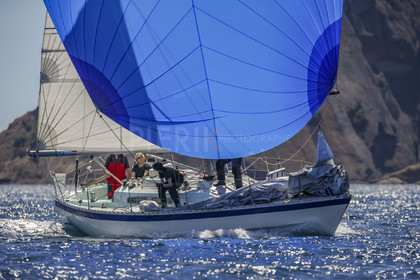 A29X9135.jpg