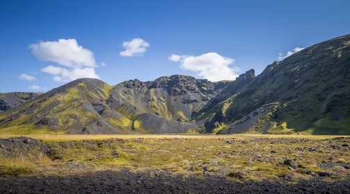 A29X4425.jpg