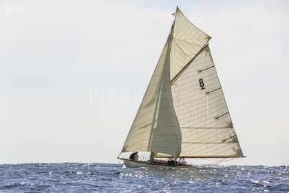 O60A7307.jpg