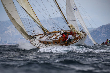 A29X8114.jpg