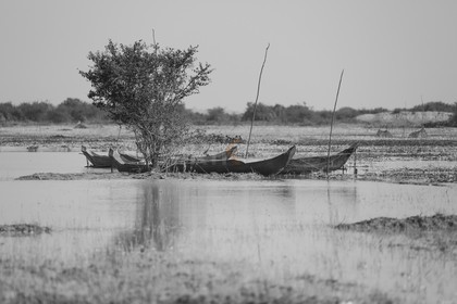 08122013-BL6A1241.jpg